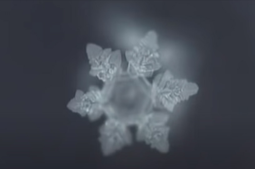 Forma del agua en la teoría del agua de masaru emoto